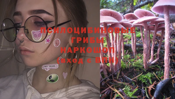 ПСИЛОЦИБИНОВЫЕ ГРИБЫ Майский
