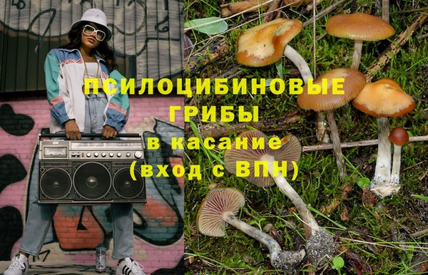 стафф Магадан
