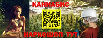 ALPHA PVP Гатчина
